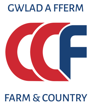CCF-Logo